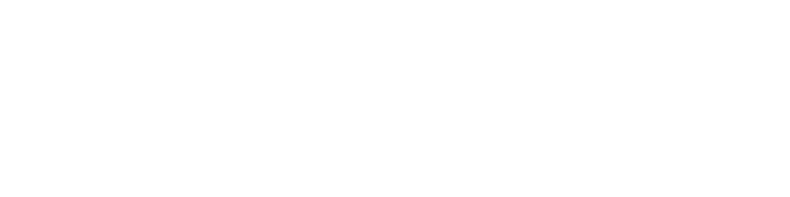 Regional AI Co.